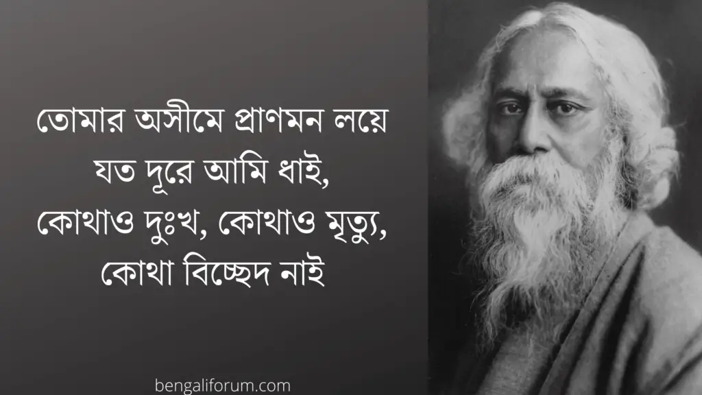 Rabindranath Tagore Famous Poems in bengali | রবীন্দ্রনাথ ঠাকুরের বিখ্যাত কবিতাসমূহ  