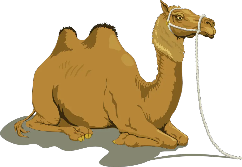 উট রচনা | Paragraph on camel in Bengali
